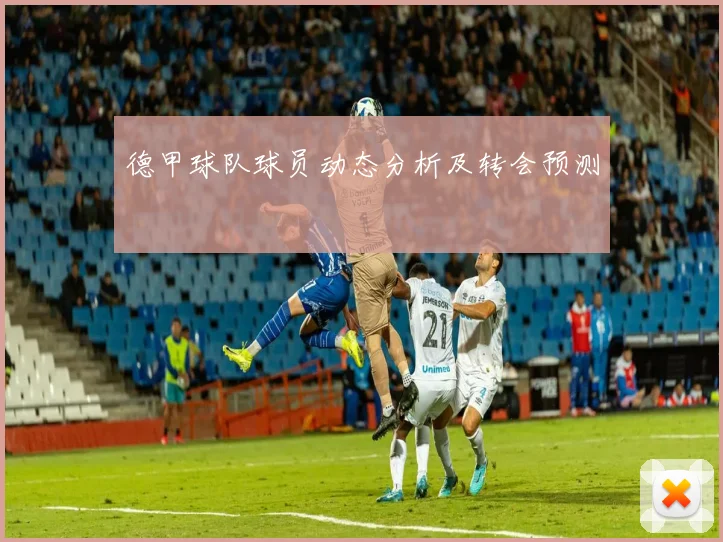 德甲球队球员动态分析及转会预测