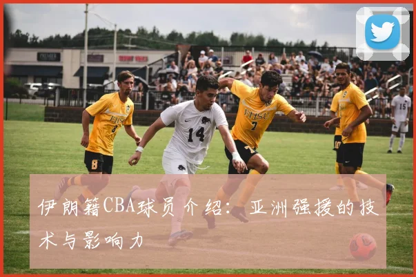 伊朗籍CBA球员介绍：亚洲强援的技术与影响力