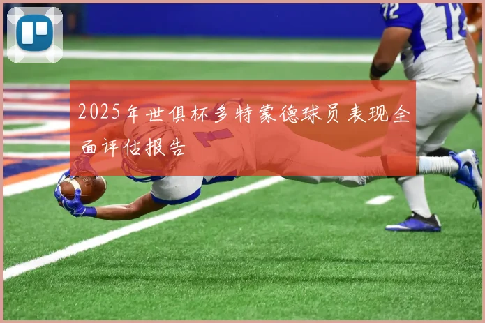 2025年世俱杯多特蒙德球员表现全面评估报告