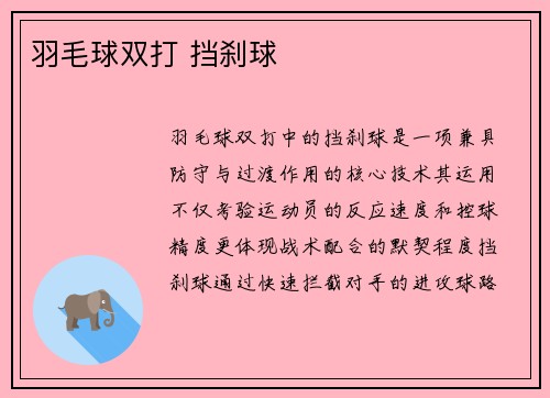羽毛球双打 挡刹球